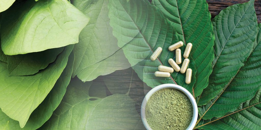 What Are Alkaloids? And, Why Are They An Important Part Of Kratom Products