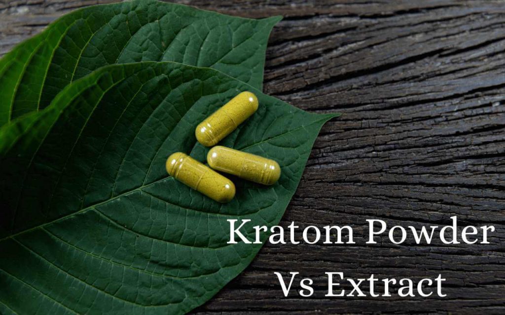 What’s The Difference Between Kratom Powder and Kratom Extract Chewables