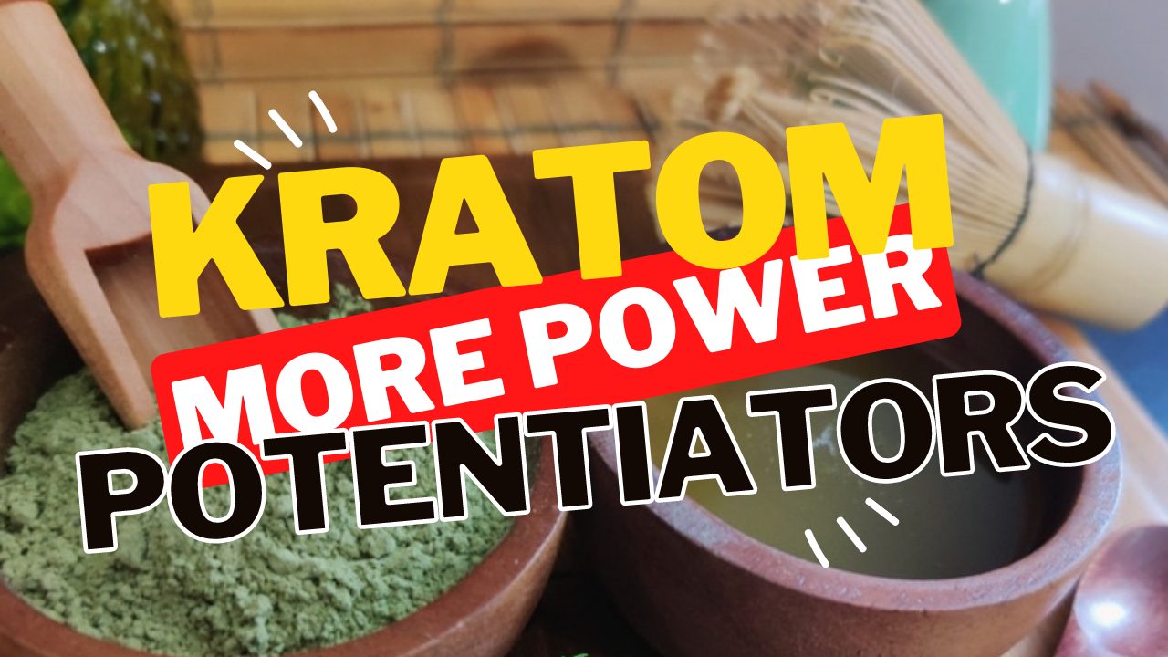 Kratom Potentiators and How They Work The Kratom Family